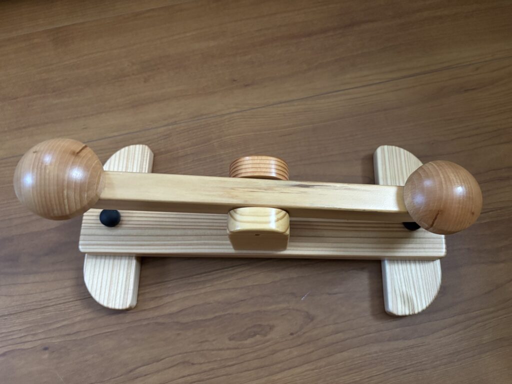 第二の心臓の画像